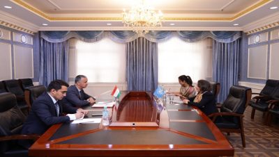 Meeting of the First Deputy Minister with the Assistant Secretary-General of the United Nations