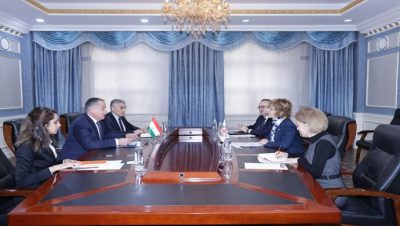 Meeting of the Minister of Foreign Affairs of the Republic of Tajikistan with the Head of the Regional Mission of the International Committee of the Red Cross (ICRC)